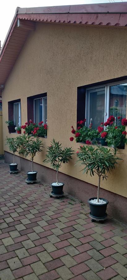 Cazare Buzau Buzău Exterior photo